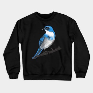 Western Scrub Jay Crewneck Sweatshirt